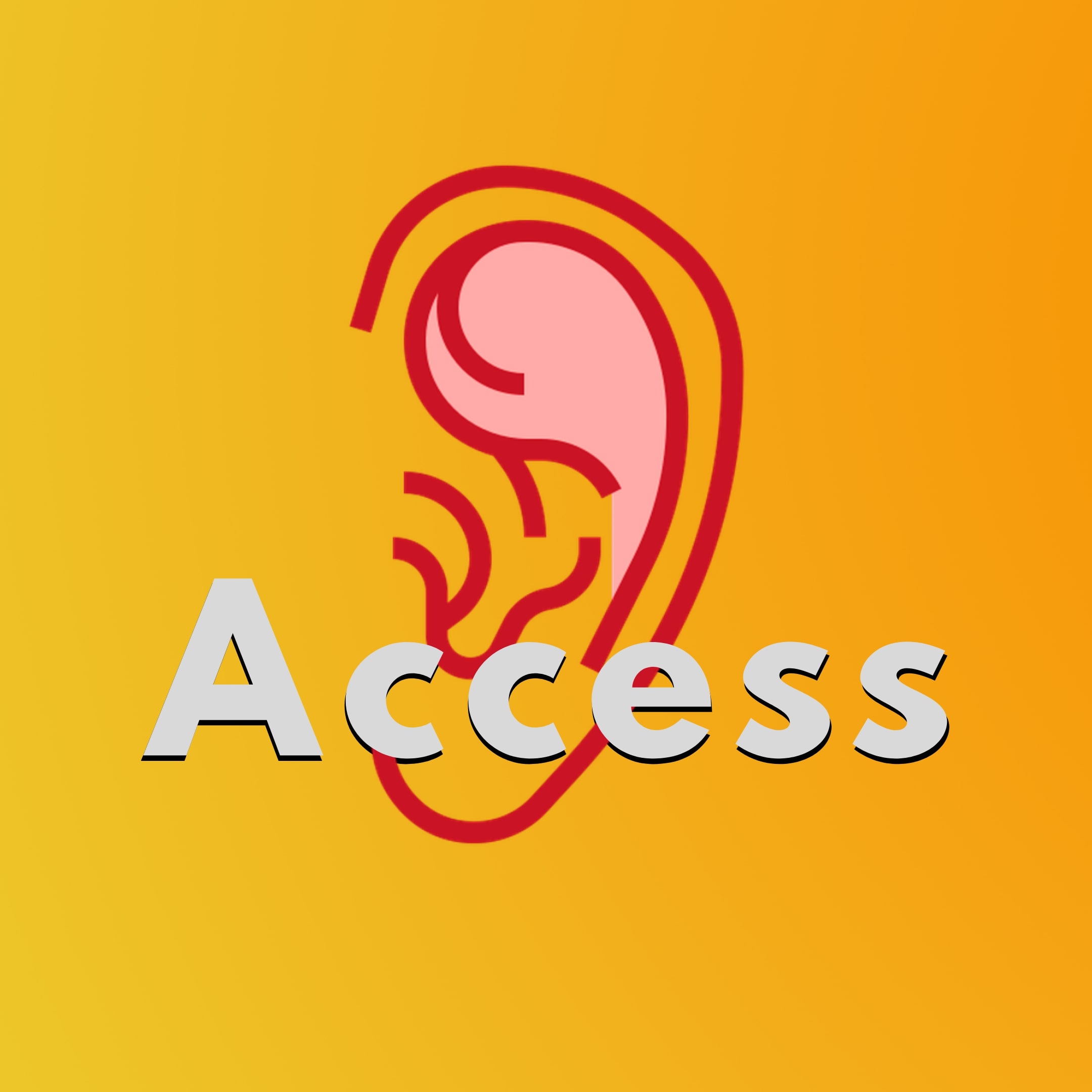 imagem access.jpg